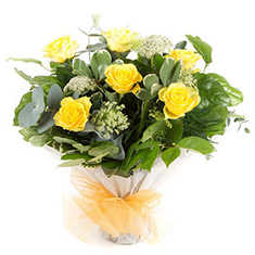 Six Long Stemmed Yellow Roses