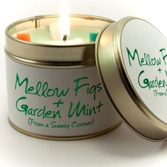 Mellow Figs &amp; Garden Mint
