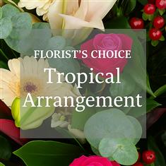 Florist Choice Tropical Arrangement